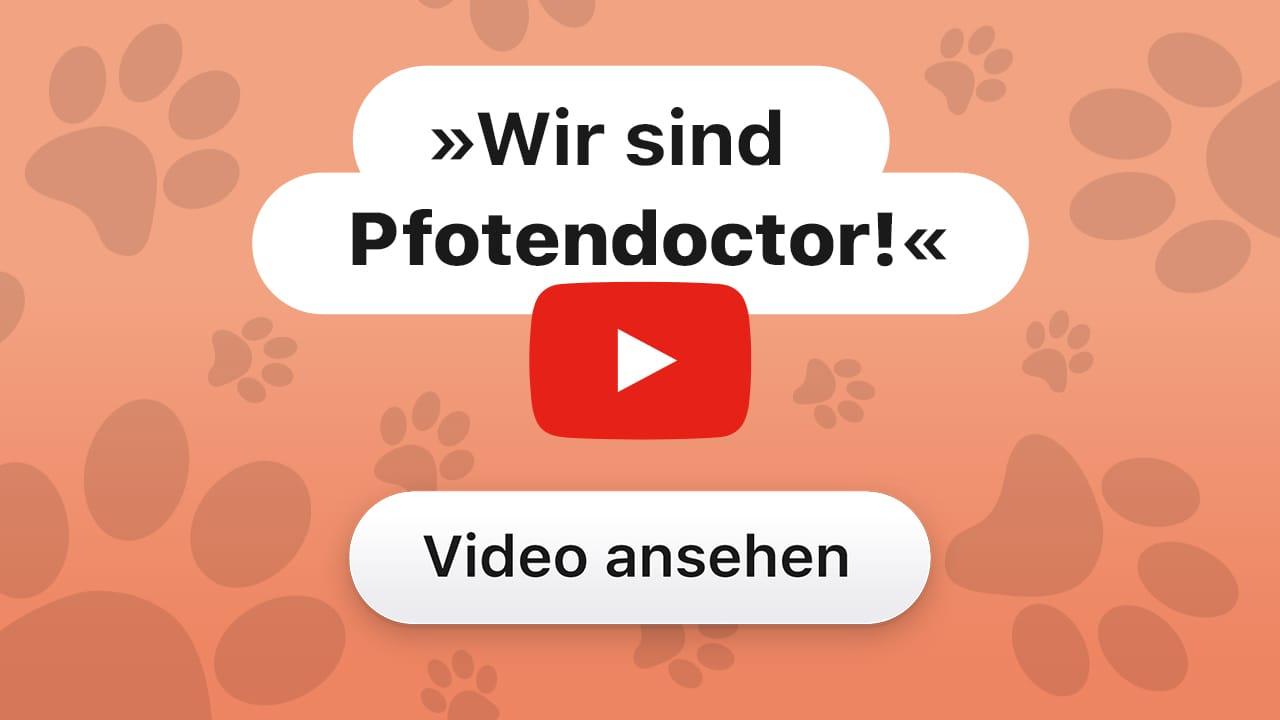 Video abspielen: Vorstellung der Gründer auf YouTube